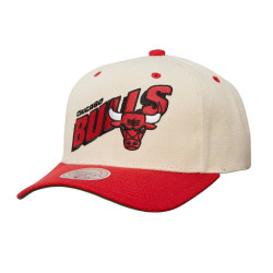 Kšiltovka NBA Chicago Bulls Retro Type Pro